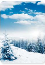 Custom Snow Theme Playing Cards - Free Setup main image